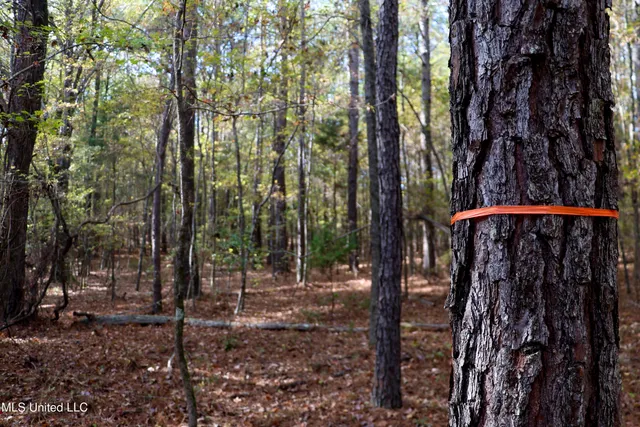 $135,000 | Les Harwell Road, Collinsville, MS 39325