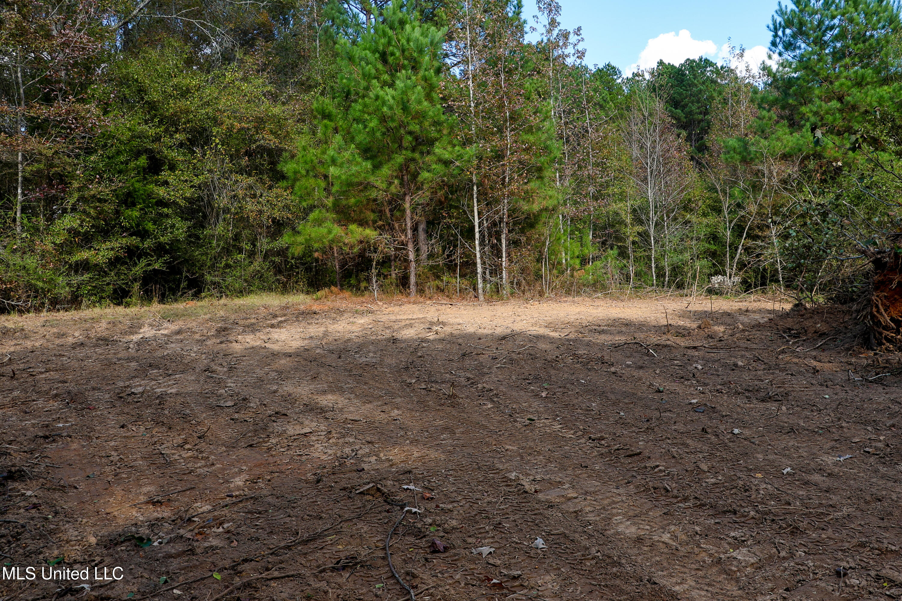 Les Harwell Road Collinsville, MS 39325 - Photo 10 of 17 4V7A5654