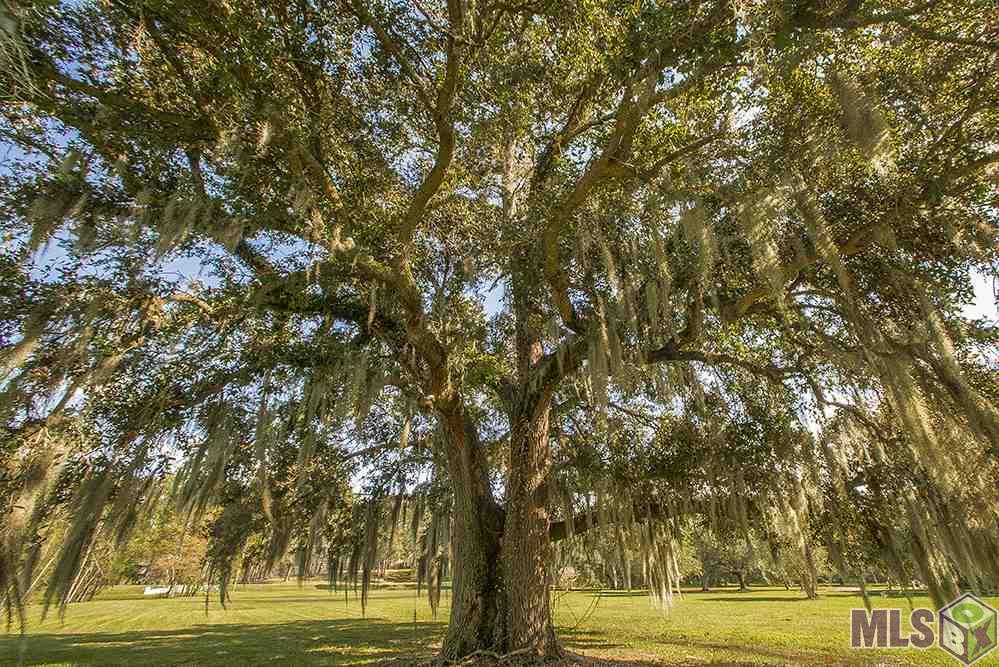 11220 Highland Road Baton Rouge, LA 70810 - Photo 4 of 38