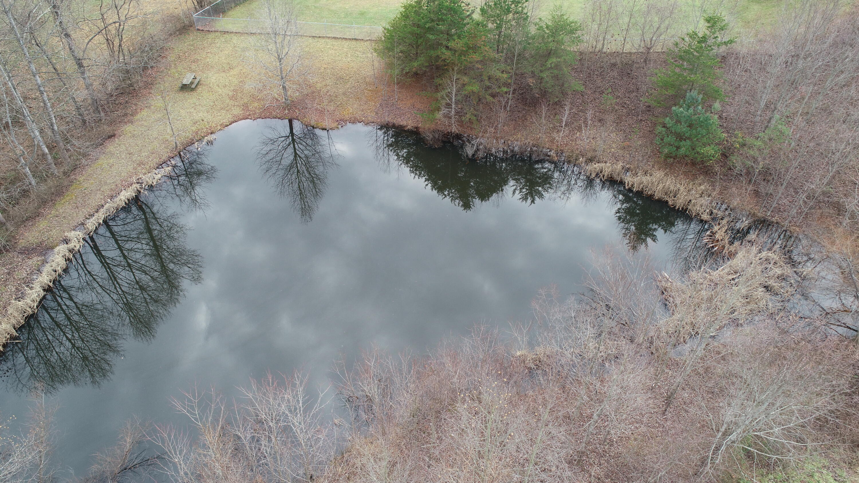 504 Bert Allen Road London, KY 40741 - Photo 35 of 50 DJI_0559