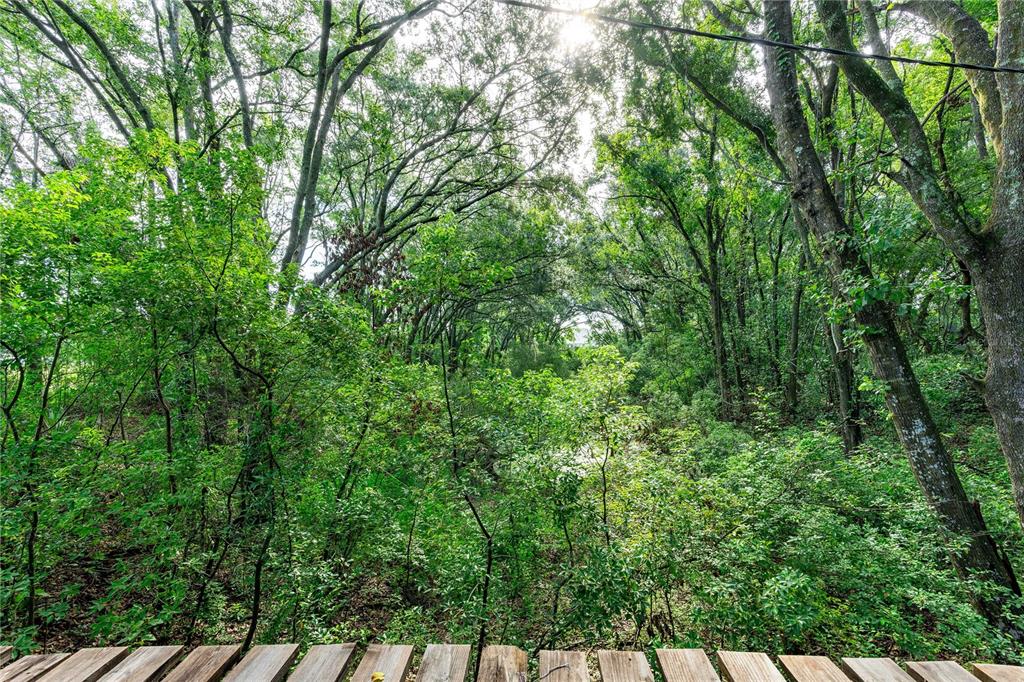 28616 Tupper Road Wesley Chapel, FL 33545 - Photo 11 of 17 a view of a lush green forest