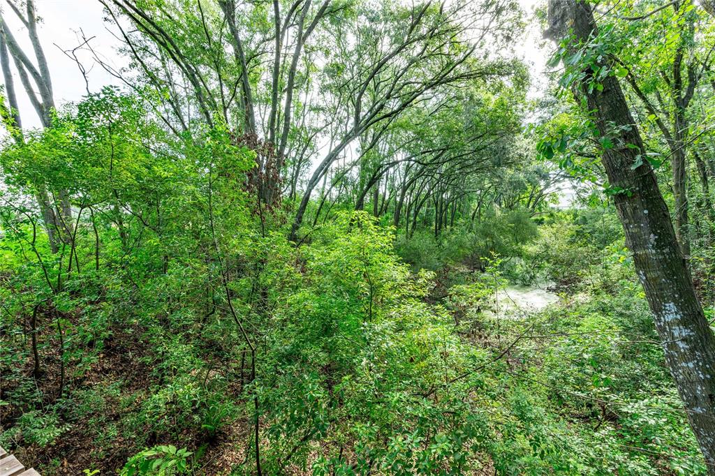 28616 Tupper Road Wesley Chapel, FL 33545 - Photo 12 of 17 a view of a lush green forest