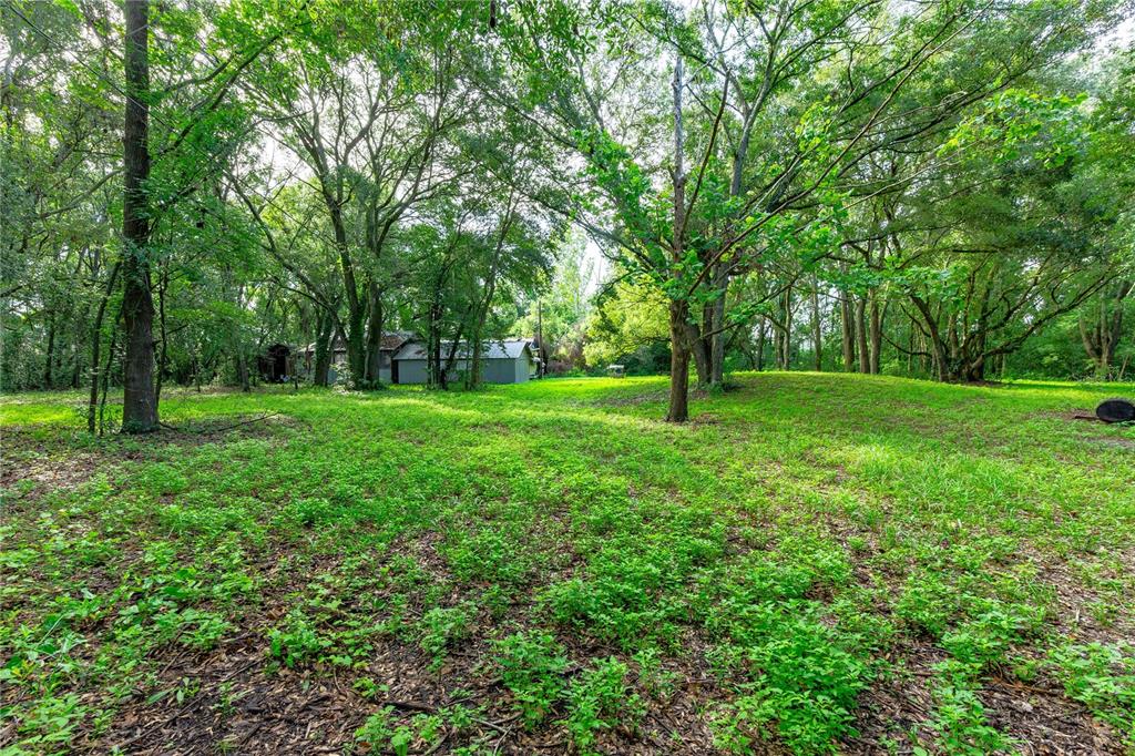 28616 Tupper Road Wesley Chapel, FL 33545 - Photo 2 of 17 a view of a grassy field with trees in the background