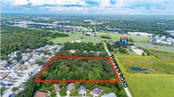 28616 Tupper Road Wesley Chapel, FL 33545 - Photo 8 of 17