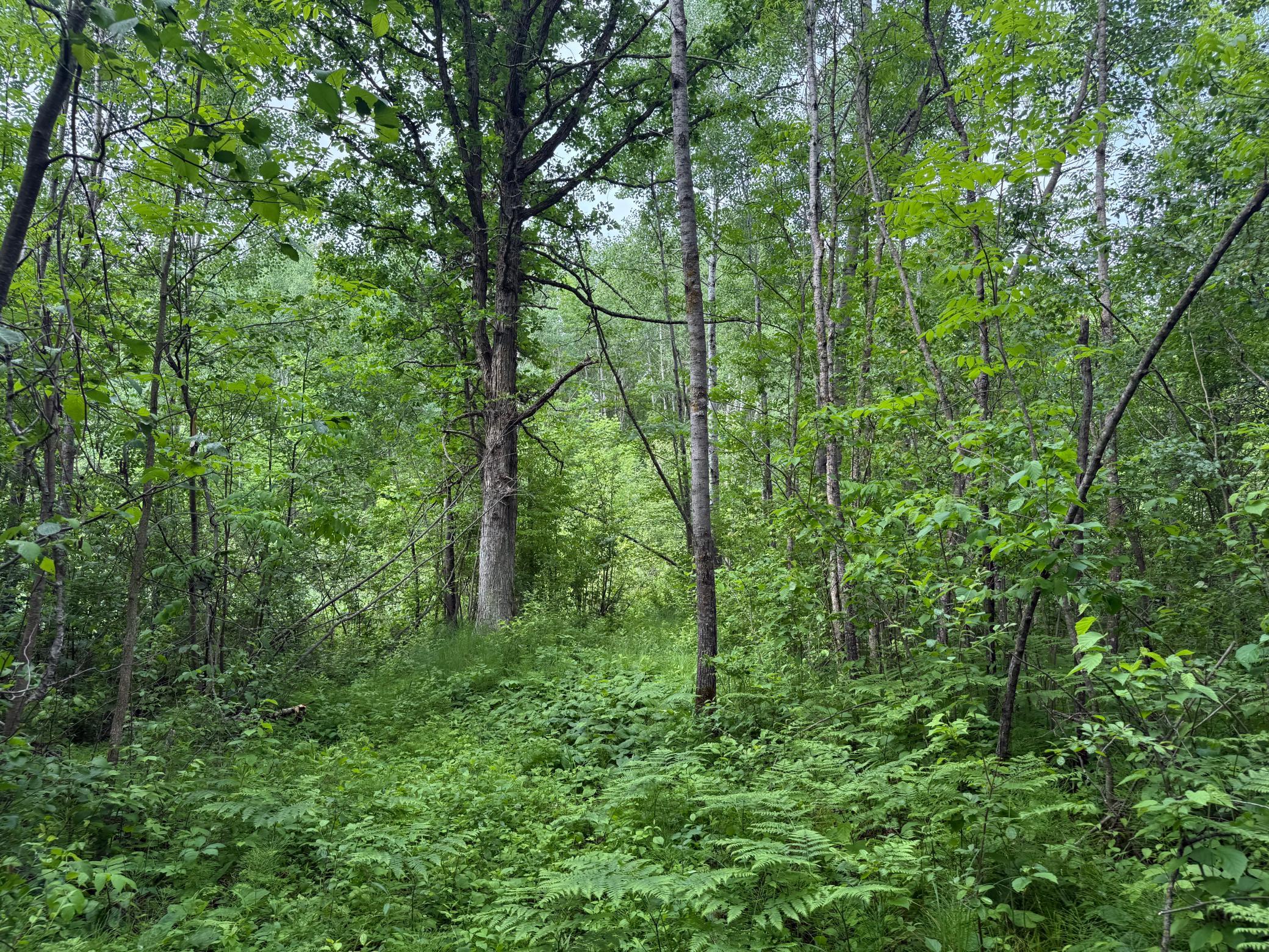 10551 Mallard Road Brook Park, MN 55007 - Photo 27 of 44