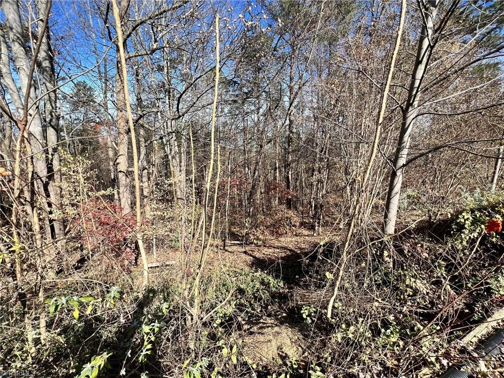 24 Roy Tuttle Road Pinnacle, NC 27043 - Photo 2 of 2