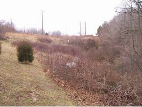 8120 North Fish Road Bloomington, IN 47408 - Photo 9 of 24