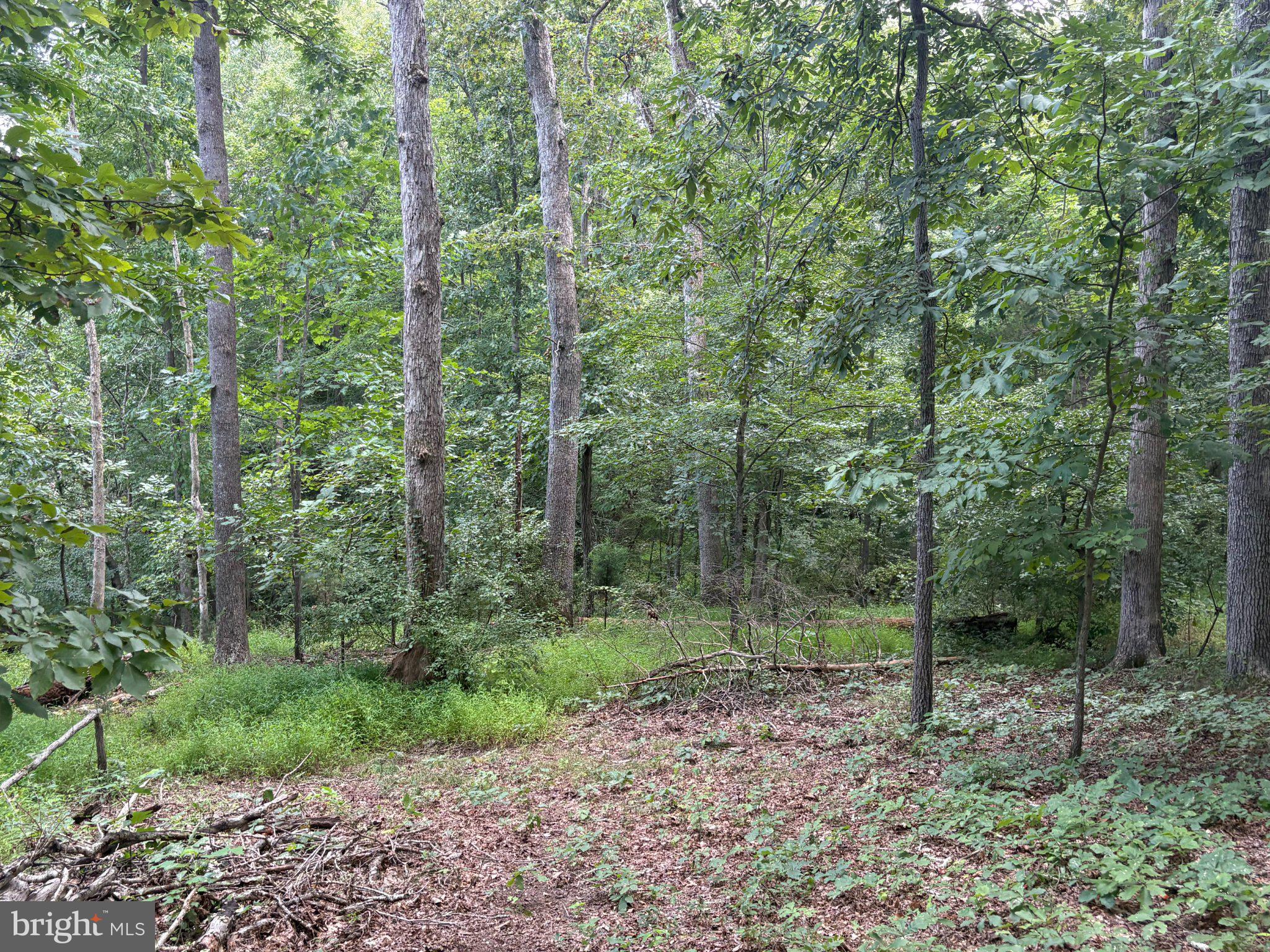 0 Union Mill Road Clifton, VA 20124 - Photo 14 of 18 Gallery Image 14