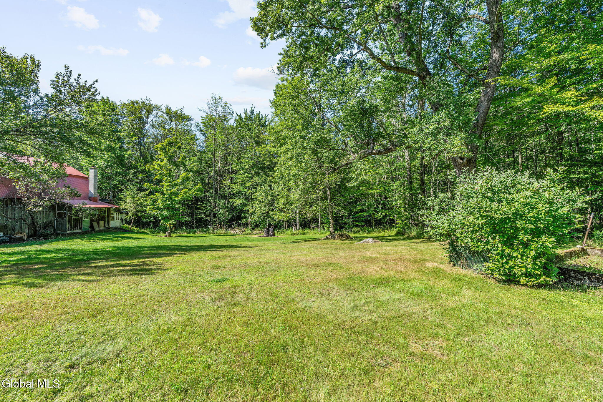 24 Lower Bower Road Sand Lake, NY 12153 - Photo 44 of 79 51-web-or-mls-24-lower-bower-rd