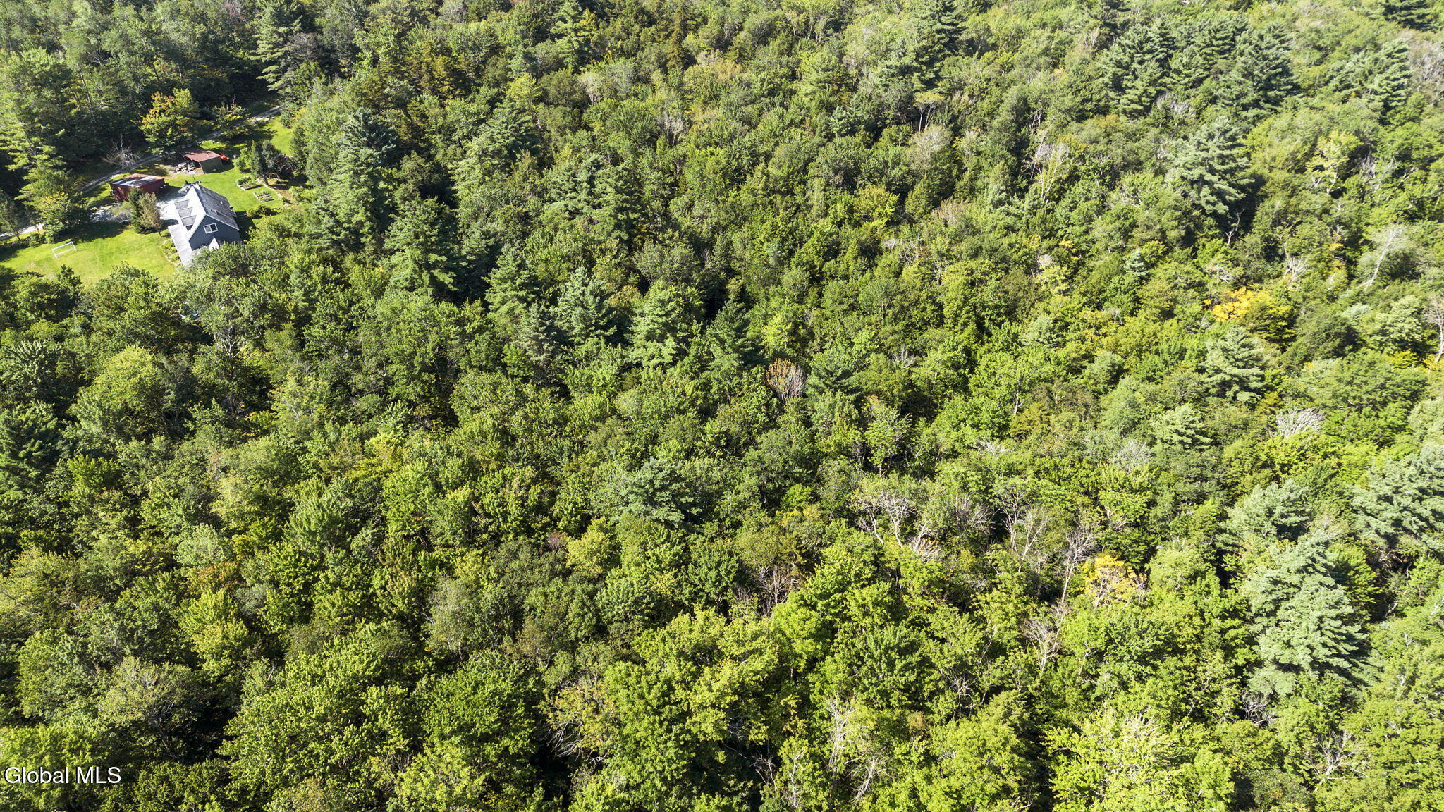 24 Lower Bower Road Sand Lake, NY 12153 - Photo 64 of 79 73-web-or-mls-24-lower-bower-rd