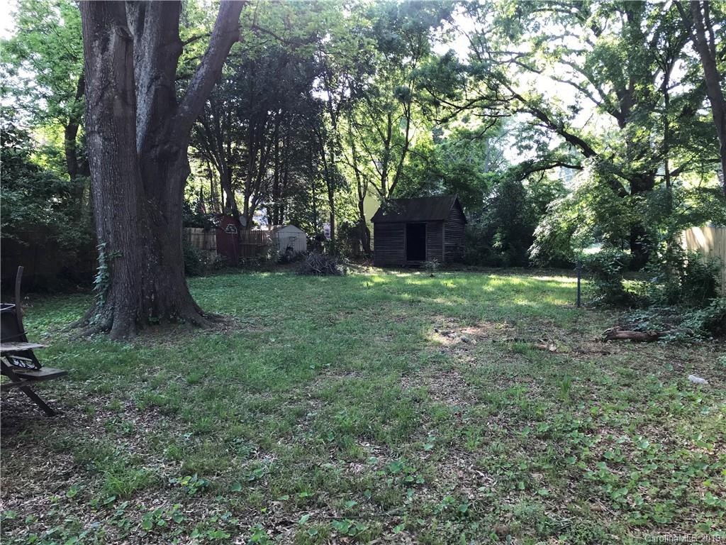 536 Watson Street Davidson, NC 28036 - Photo 3 of 3 a view of a tree in the middle of a forest