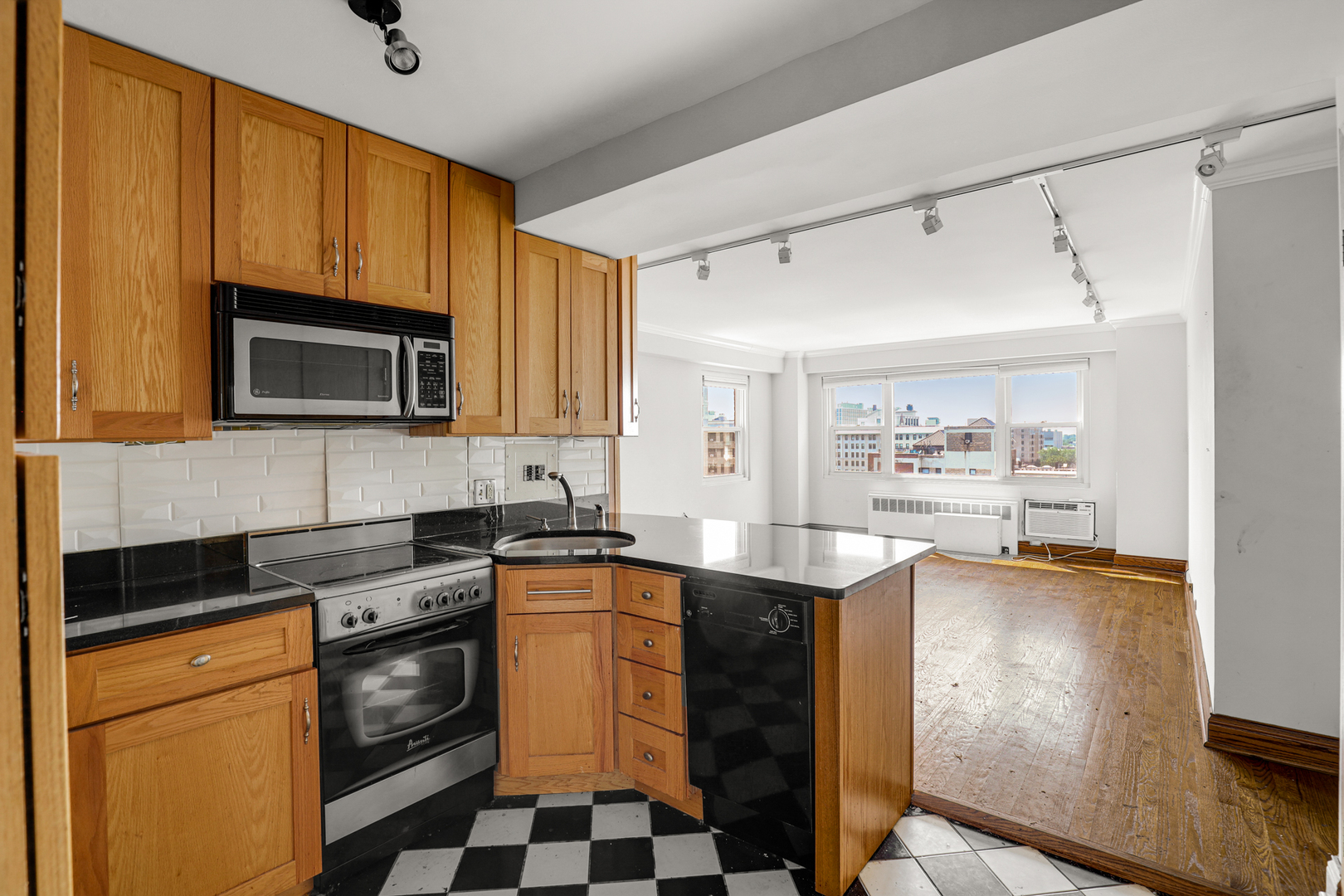 2909 North Sheridan Road, Unit 1105 Chicago, IL 60657 - Photo 3 of 12