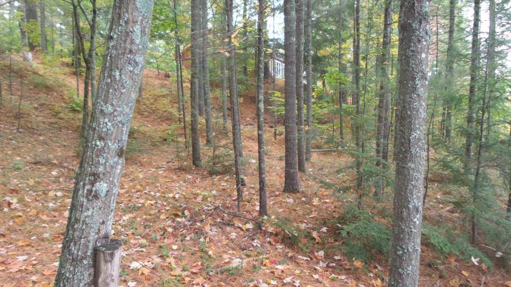 304 Ross Corner Road Shapleigh, ME 04076 - Photo 11 of 12 Photo