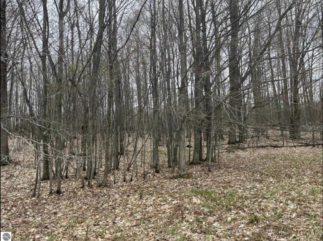 Parcel H Parcel H Floreys Ranch Grawn, MI 49637 - Photo 2 of 7