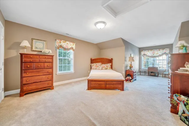 a view of a backyard with plants and large tree