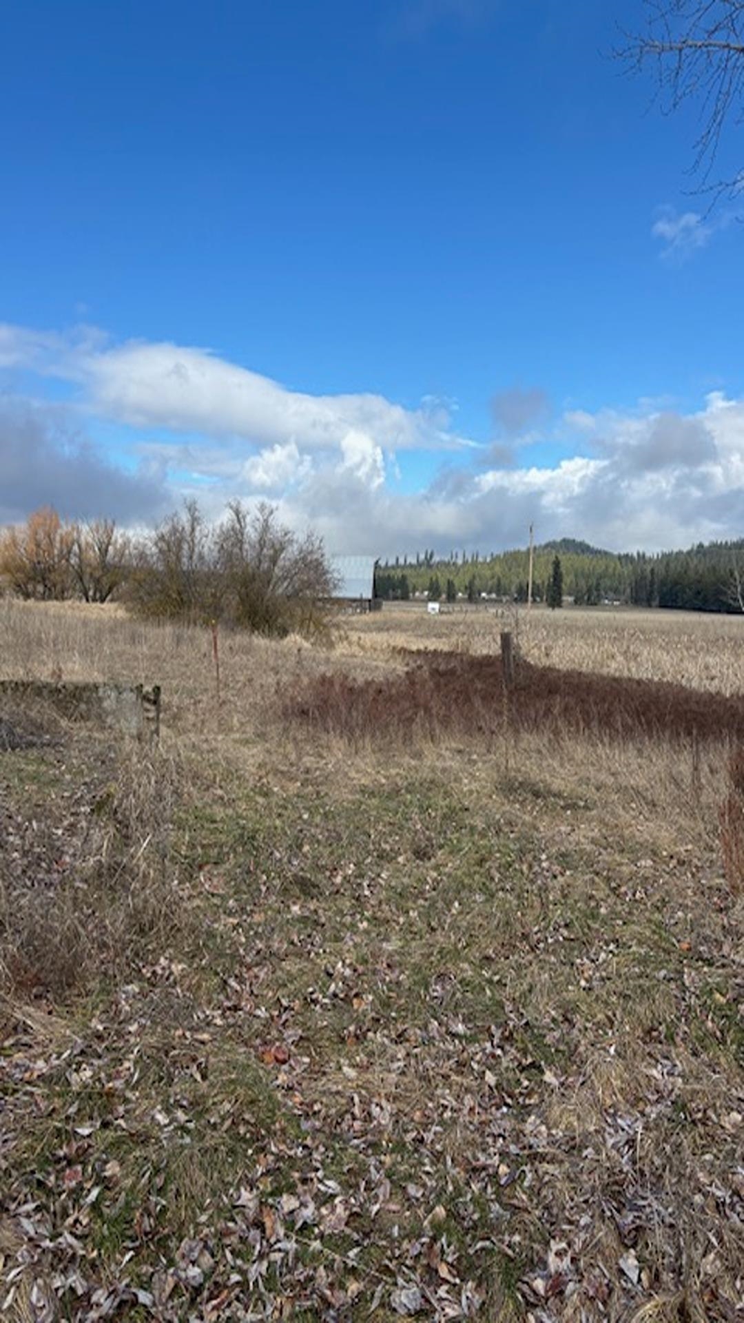 413-xx North Short Road Deer Park, WA 99006 - Photo 30 of 36