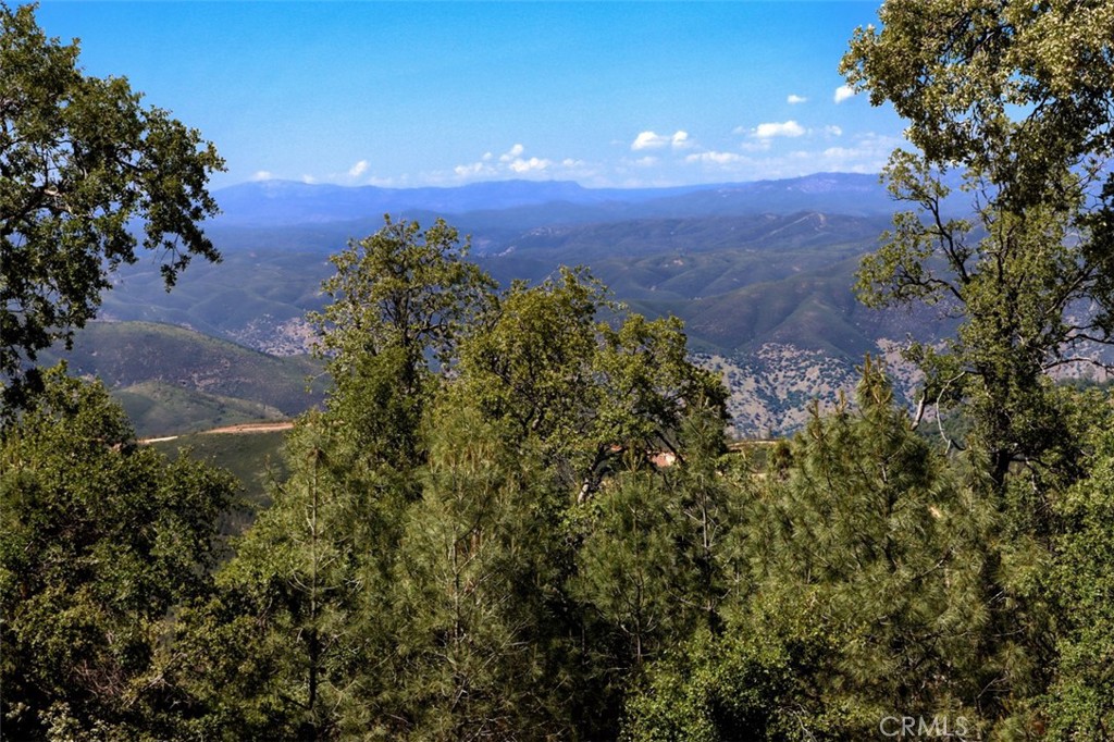 6097 Sherlock Road Midpines, CA 95345 - Photo 53 of 63 a view of a houses of a yard