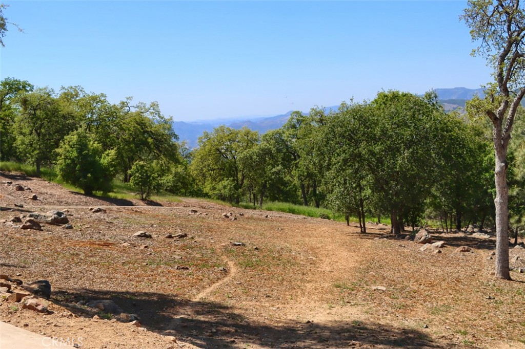 6097 Sherlock Road Midpines, CA 95345 - Photo 55 of 63 a view of outdoor space with trees