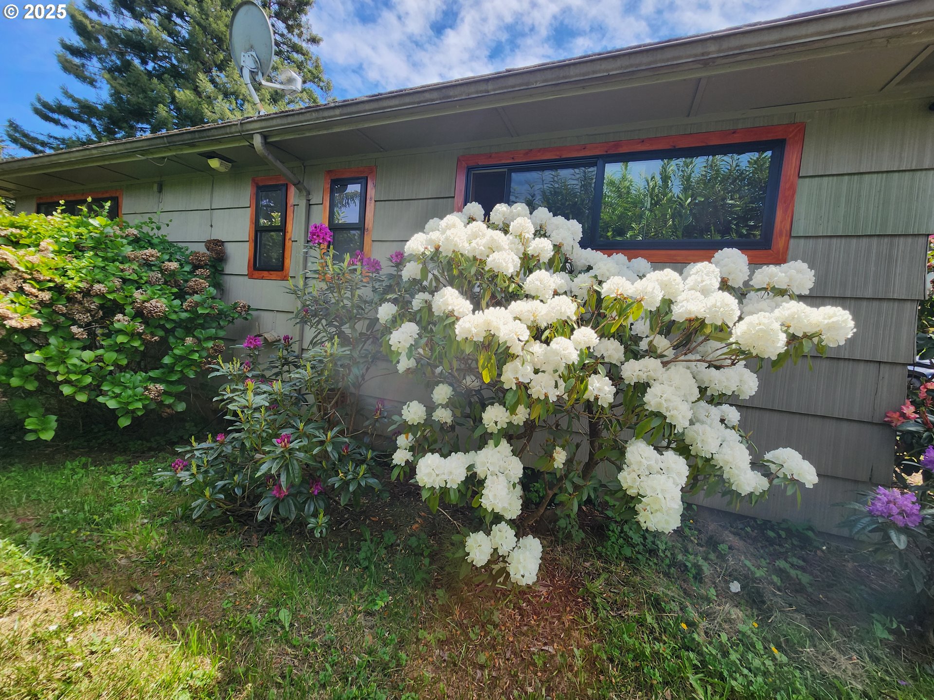 1816 Cedar Avenue Reedsport, OR 97467 - Photo 4 of 40 Gallery Image 4