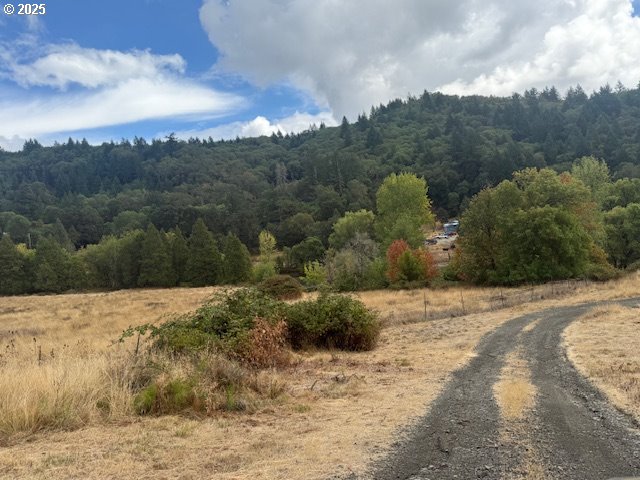 1604 Spring Brook Road Myrtle Creek, OR 97457 - Photo 36 of 43 Pasture
