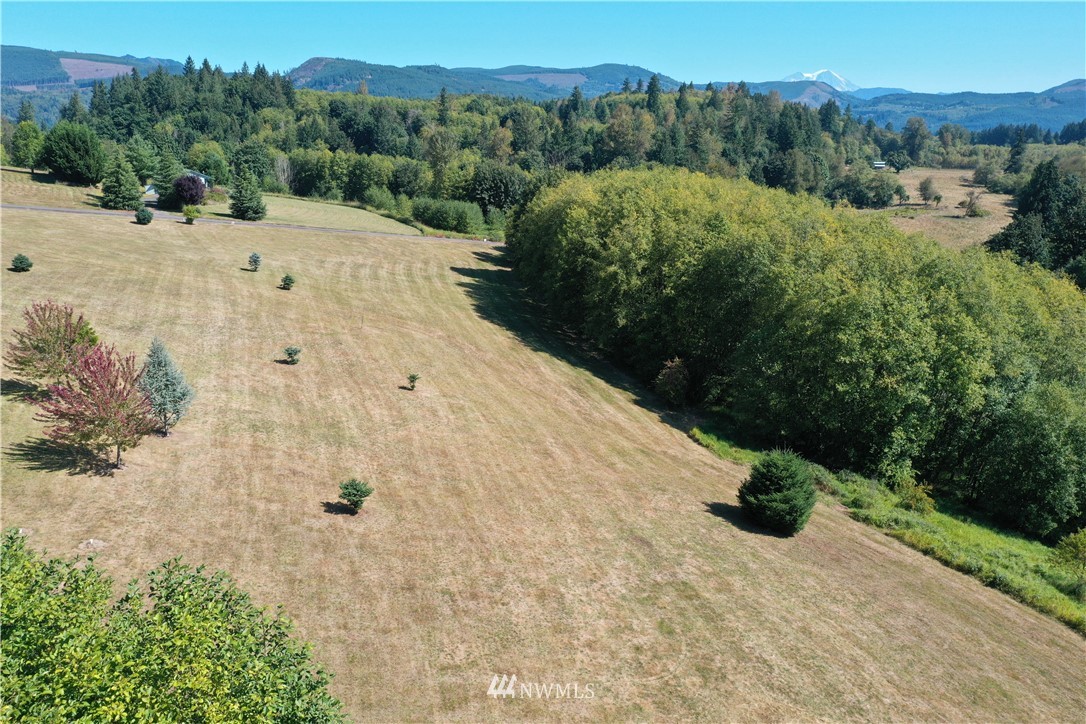 135 Elk Ridge Road Mossyrock, WA 98564 - Photo 4 of 7 Gallery Image 4