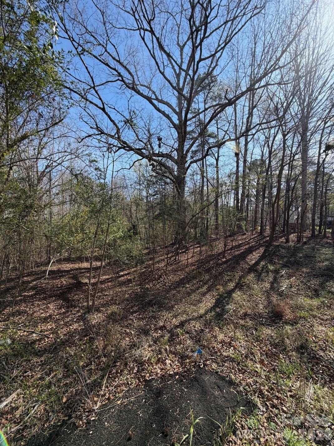 0 Winnsboro Road Great Falls, SC 29055 - Photo 5 of 5