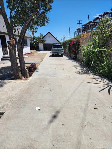 a view of a large trees with a yard