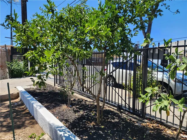 a view of a backyard with a tree