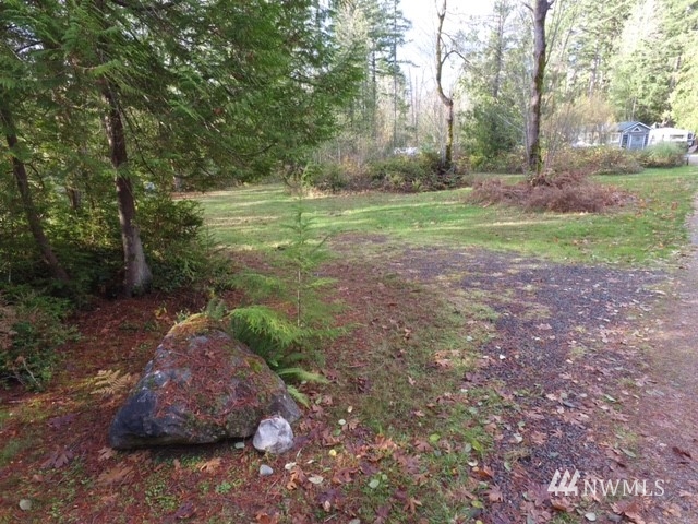 15601 Delano Road Southwest Lakebay, WA 98349 - Photo 1 of 7 a view of a park with large trees