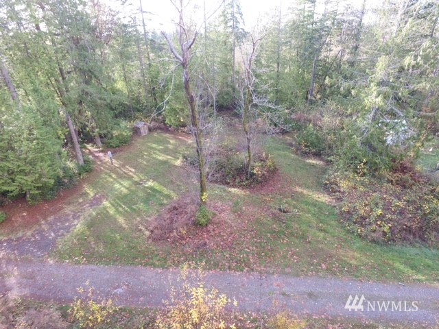15601 Delano Road Southwest Lakebay, WA 98349 - Photo 2 of 7 a view of a forest with trees