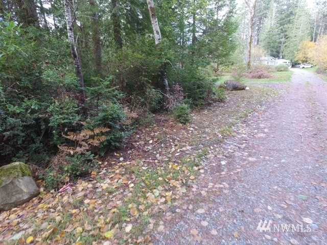 15601 Delano Road Southwest Lakebay, WA 98349 - Photo 3 of 7 a view of a yard with plants and trees