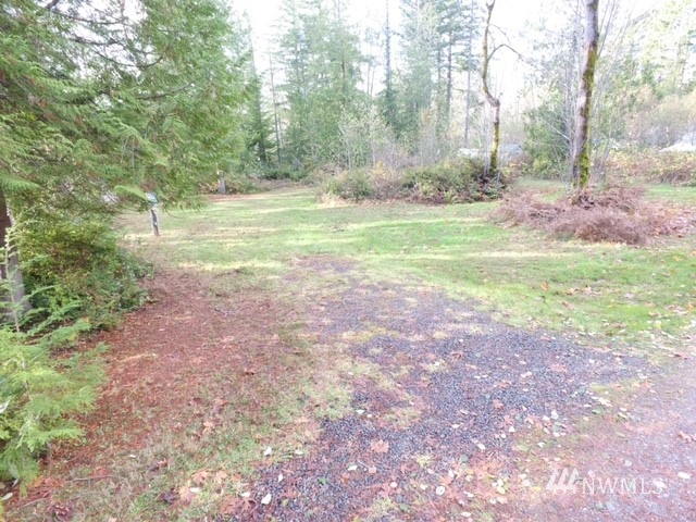 15601 Delano Road Southwest Lakebay, WA 98349 - Photo 4 of 7 a view of a field with trees in the background