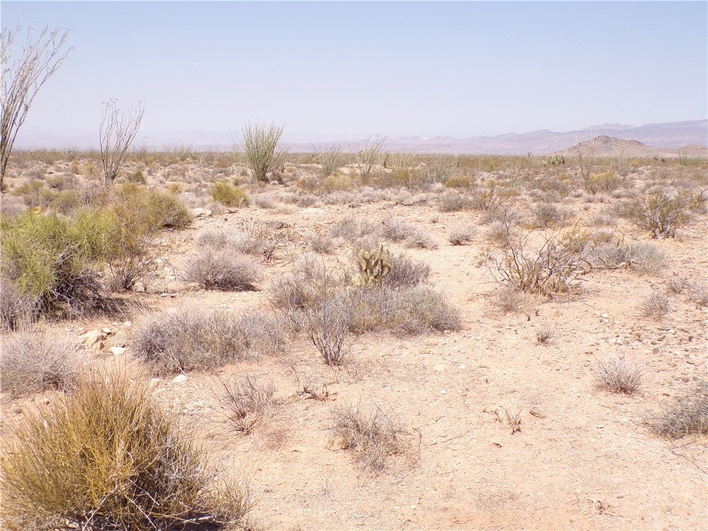 245-18-197 South Sherry Road Yucca, AZ 86438 - Photo 10 of 35 Gallery Image 10