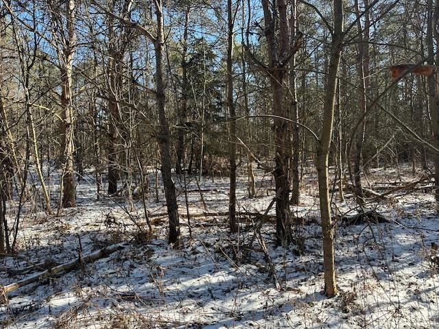 0 North 31 Road Manton, MI 49663 - Photo 9 of 13
