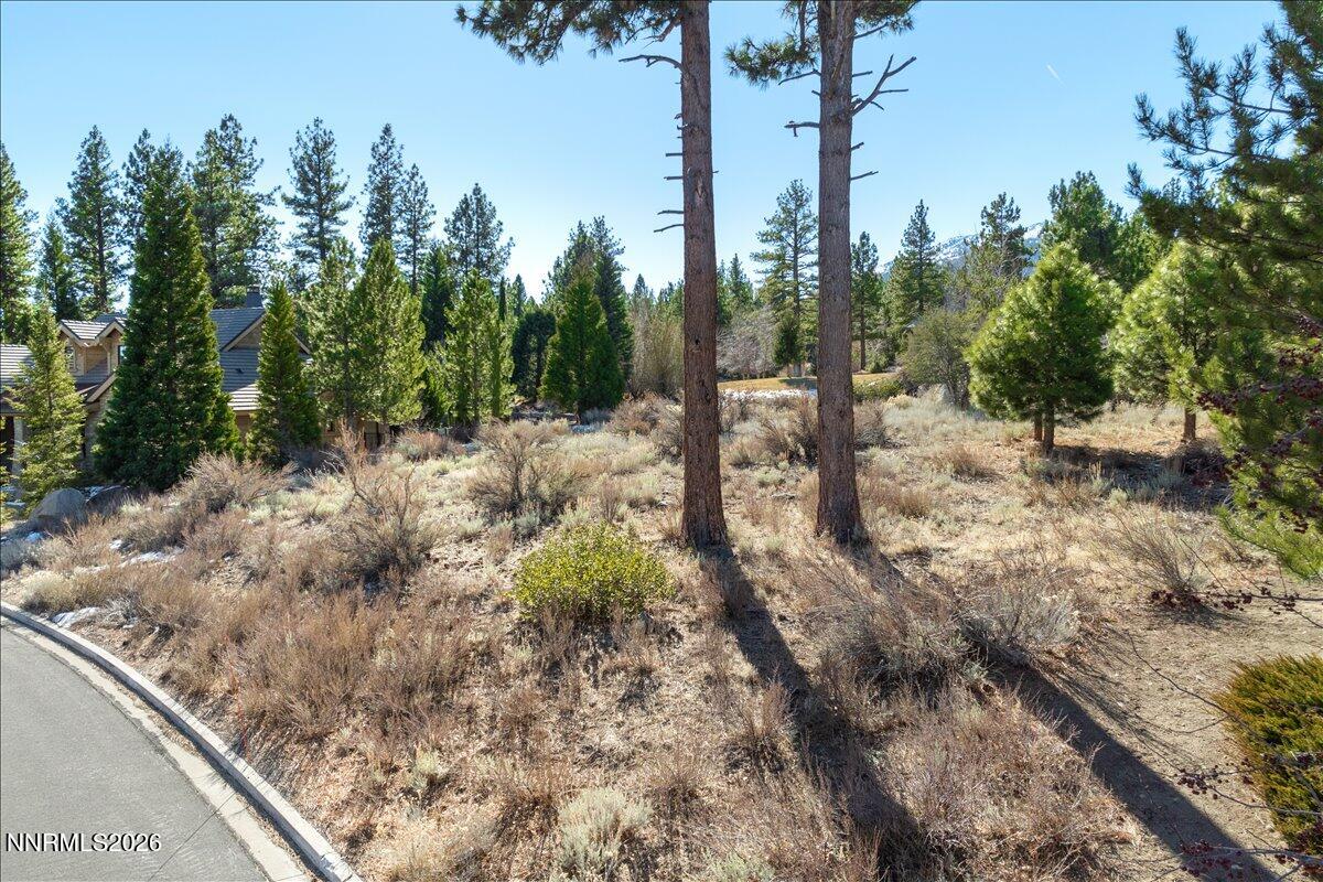 5715 Nordend Way Reno, NV 89511 - Photo 4 of 13 04-DJI_0733