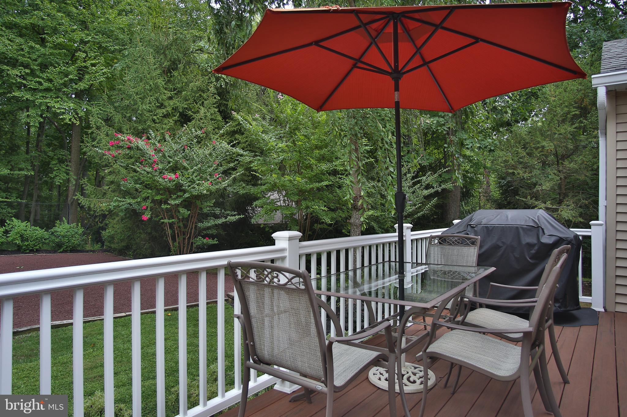 6167 Yorkshire Road New Hope, PA 18938 - Photo 46 of 69 Entry Deck
