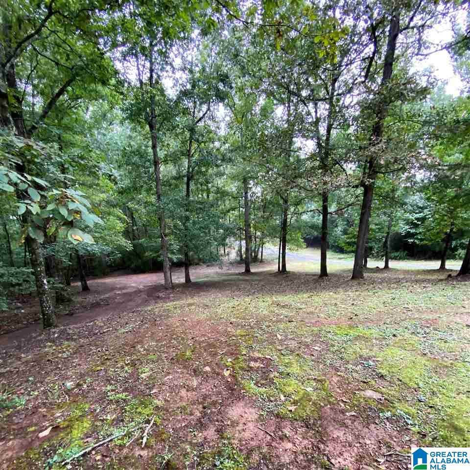 306 Tan Bark Road Warrior, AL 35180 - Photo 3 of 15