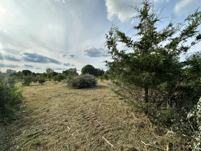 $35,000 | Vl Otter Lake Road, Otter Lake, MI 48464