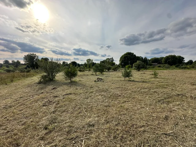 $35,000 | Vl Otter Lake Road, Otter Lake, MI 48464