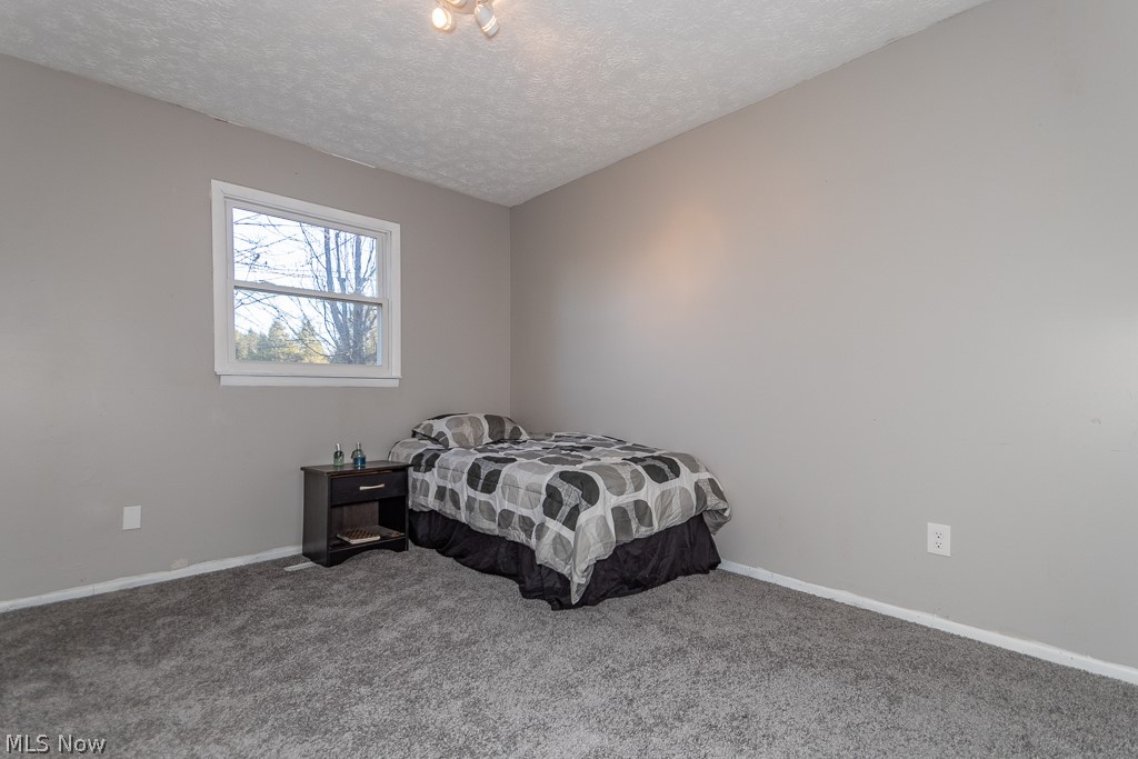 3006 Arcola Road Madison, OH 44057 - Photo 24 of 35