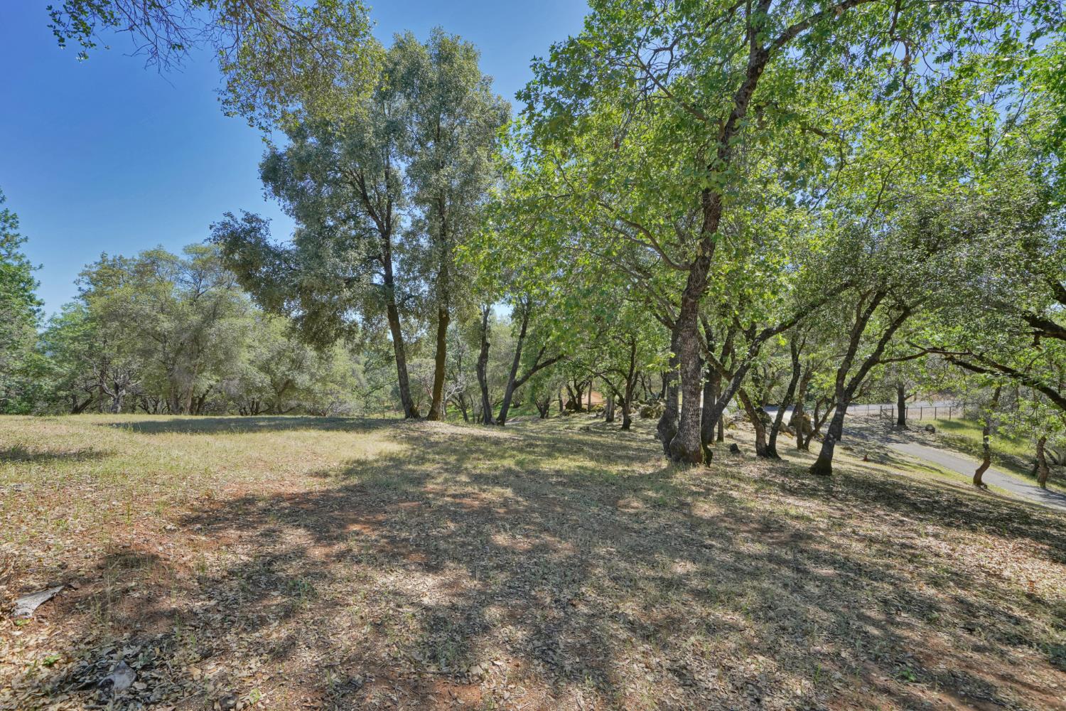 2469 Secret Ravine Trail Cool, CA 95614 - Photo 39 of 80