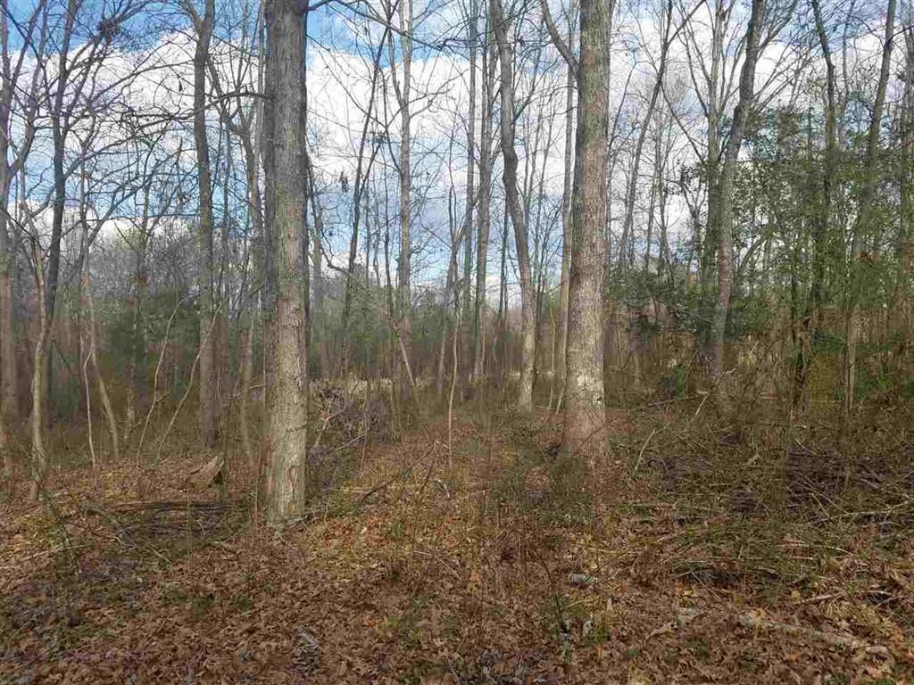 Six And Twenty Road Pendleton, SC 29670 - Photo 13 of 28