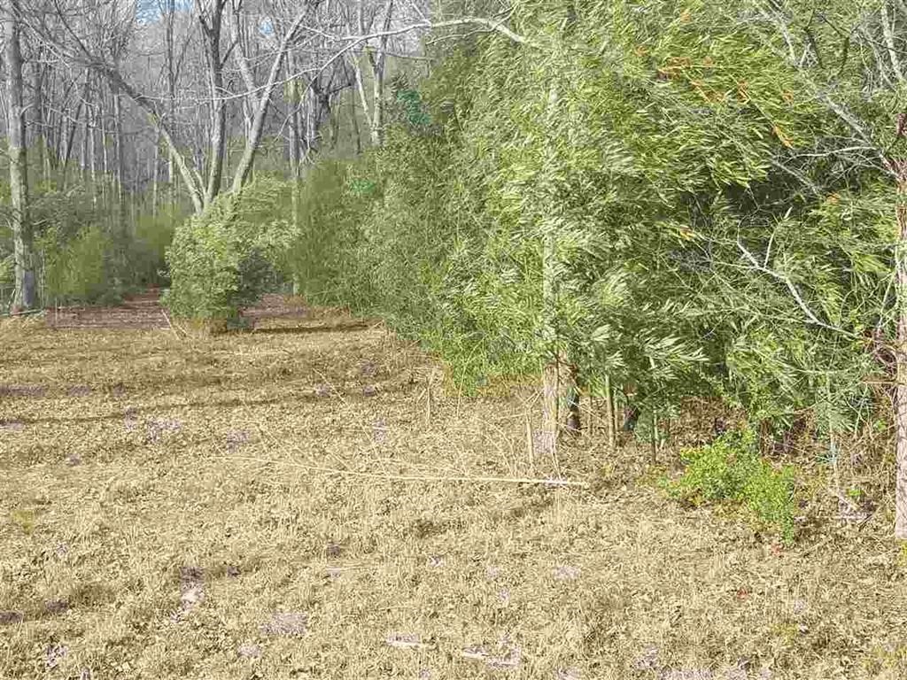 Six And Twenty Road Pendleton, SC 29670 - Photo 15 of 28