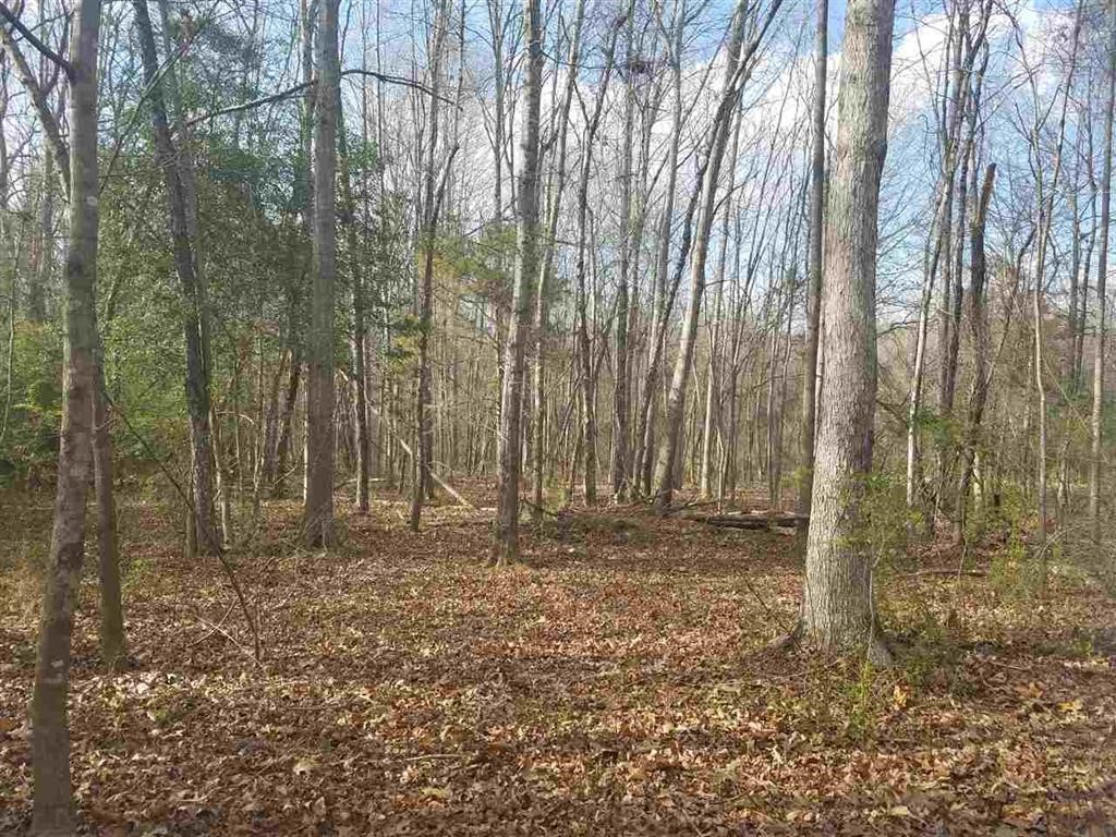Six And Twenty Road Pendleton, SC 29670 - Photo 20 of 28
