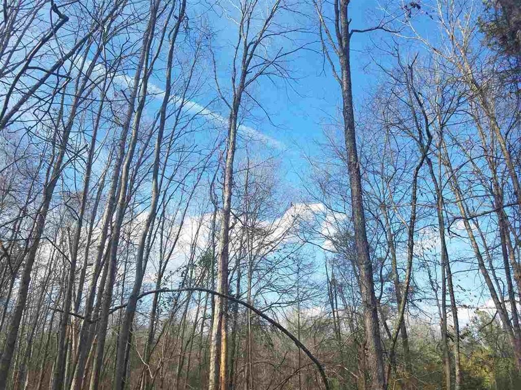 Six And Twenty Road Pendleton, SC 29670 - Photo 22 of 28