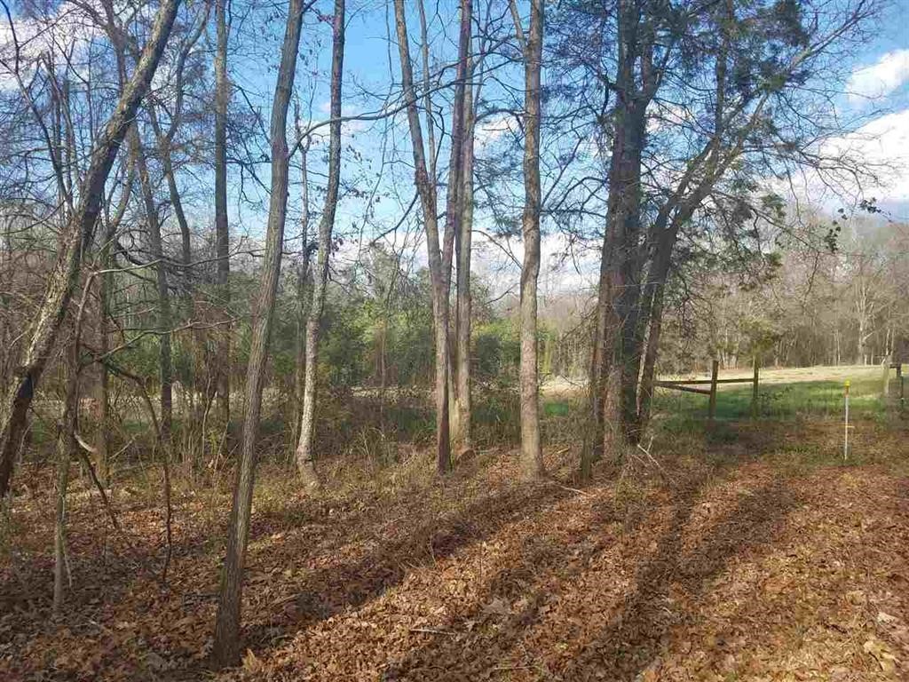 Six And Twenty Road Pendleton, SC 29670 - Photo 24 of 28