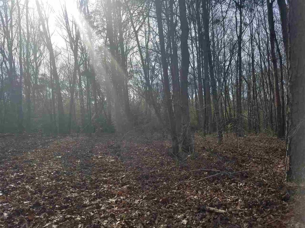 Six And Twenty Road Pendleton, SC 29670 - Photo 26 of 28