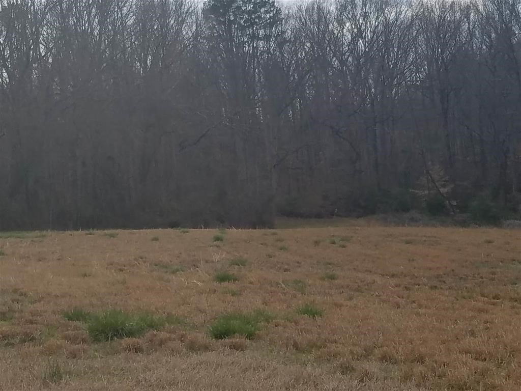 Six And Twenty Road Pendleton, SC 29670 - Photo 6 of 28