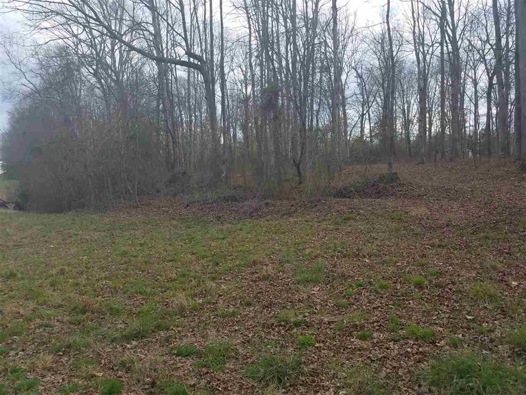 Six And Twenty Road Pendleton, SC 29670 - Photo 7 of 28