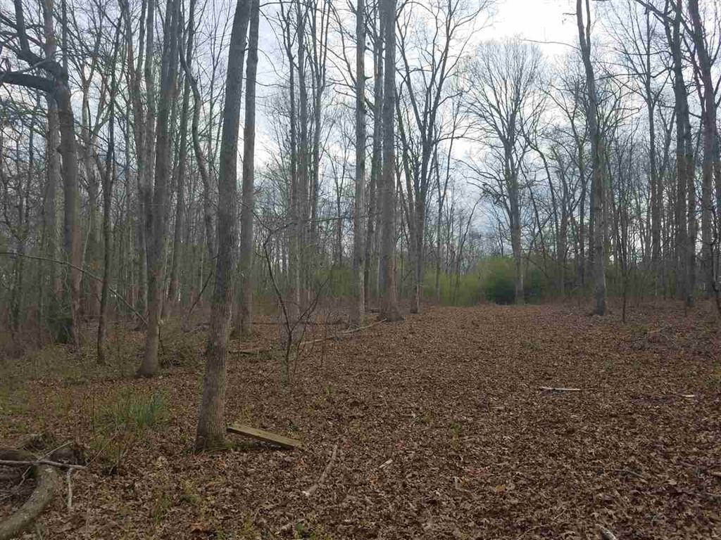 Six And Twenty Road Pendleton, SC 29670 - Photo 8 of 28